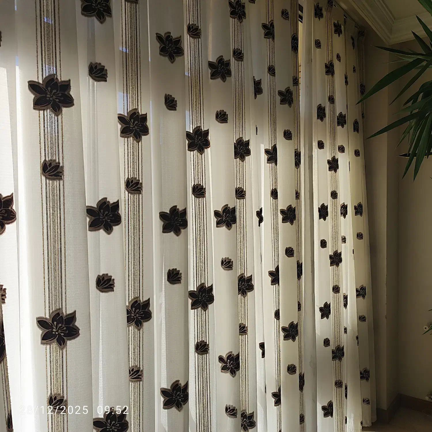 پرده|پرده، رانر، رومیزی|اصفهان, ملک|دیوار