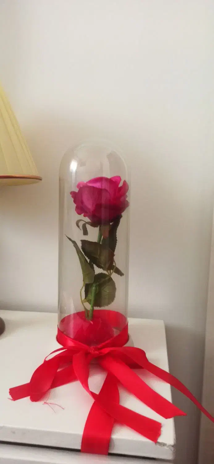 دوتا گل مصنوعی|گل مصنوعی|گرگان, |دیوار