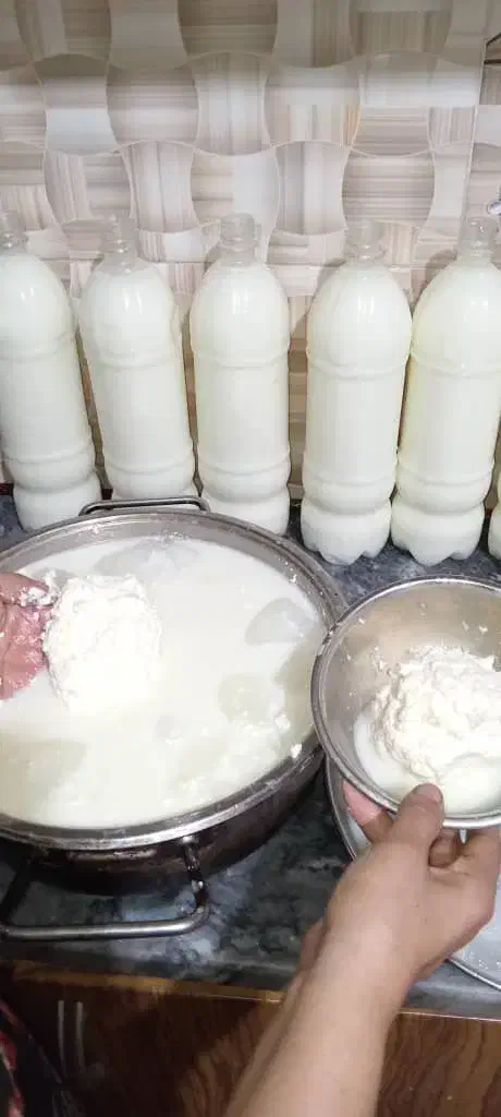 دوغ و کره محلی|خوردنی و آشامیدنی|زرگرشهر, |دیوار