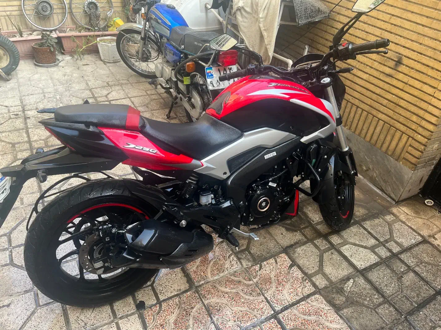 دومینار 250|موتورسیکلت|تهران, جوادیه|دیوار