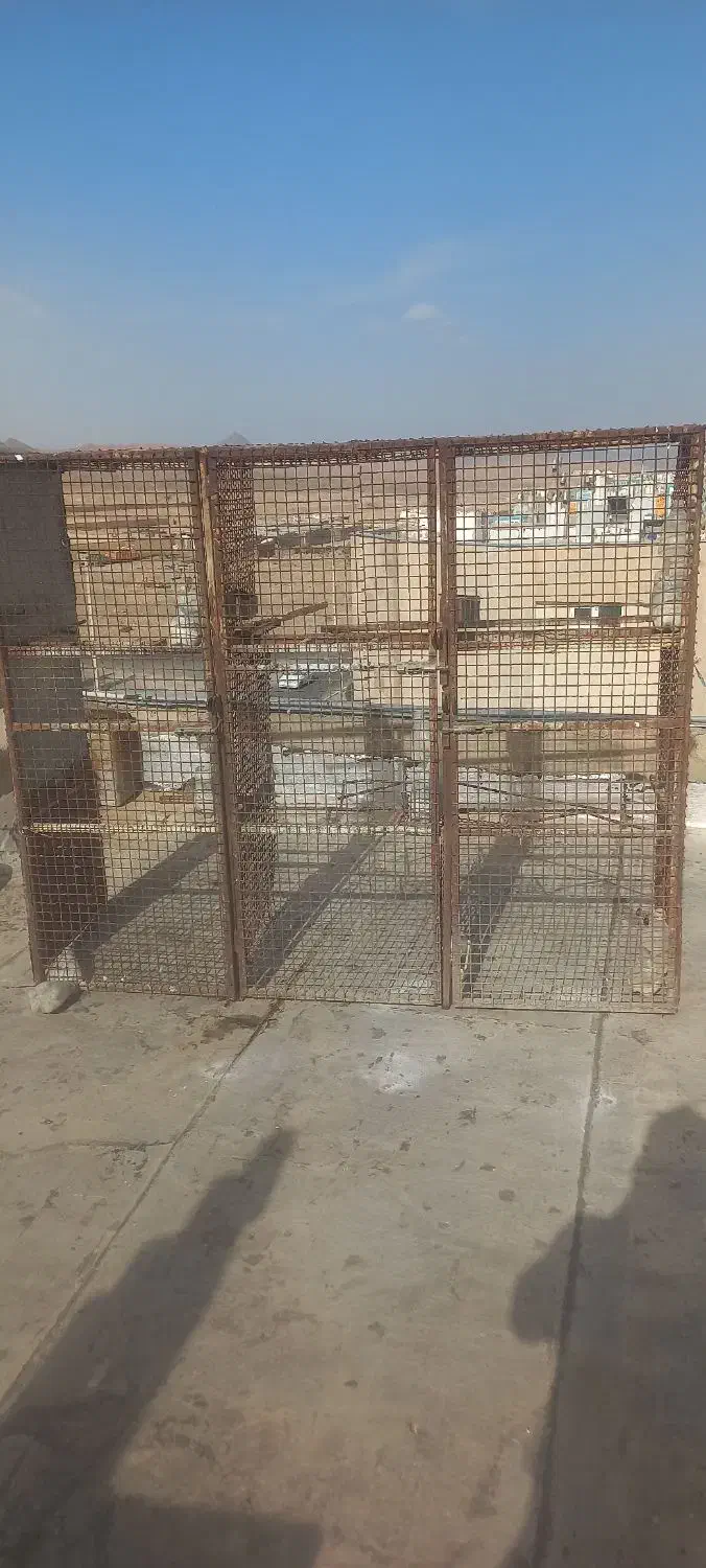 جفتگاه کفتر|لوازم جانبی حیوانات|بیرجند, |دیوار