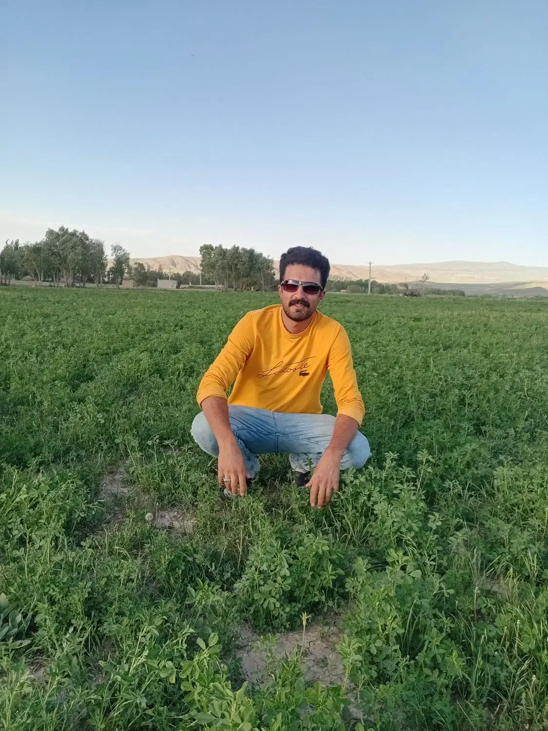 کمک راننده هستم.مدارک کامل.ترانزیت|خدمات حمل و نقل|بستان آباد, |دیوار