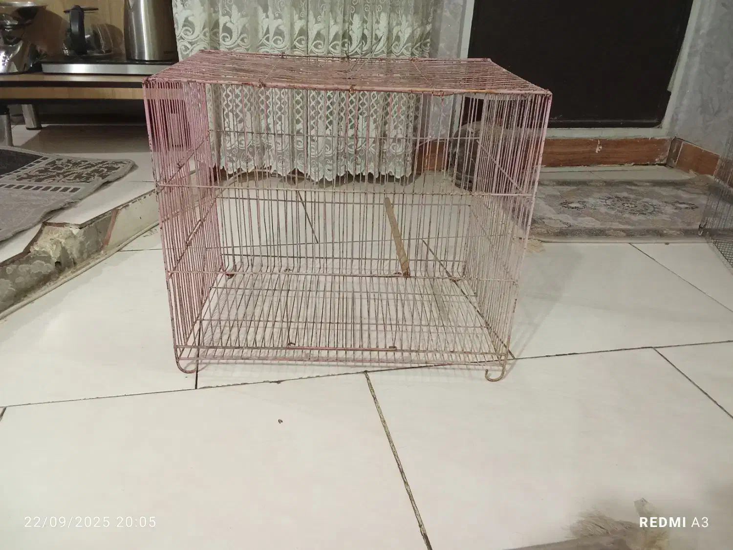 قفس پرنده|لوازم جانبی حیوانات|اراک, |دیوار