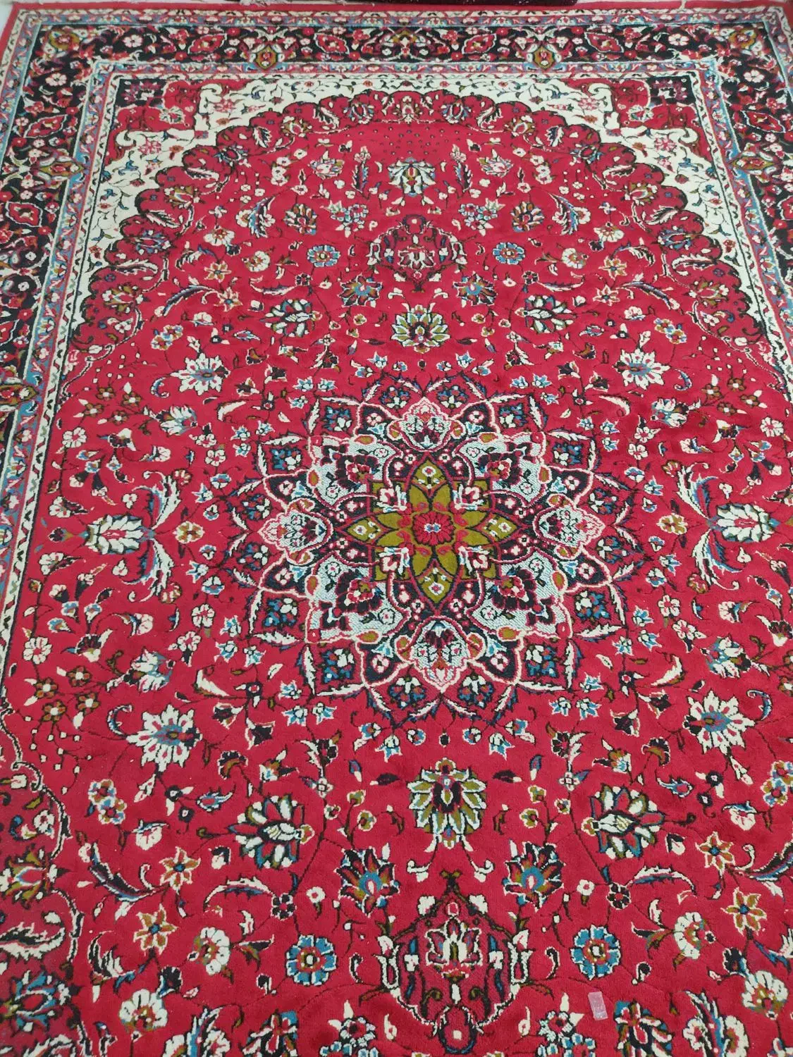 فرش ماشینی 6متری 2تخته|فرش|رامسر, |دیوار