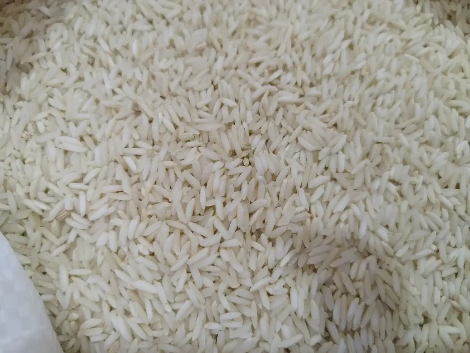 برنج علی کاظمی|خوردنی و آشامیدنی|گیلوان, |دیوار