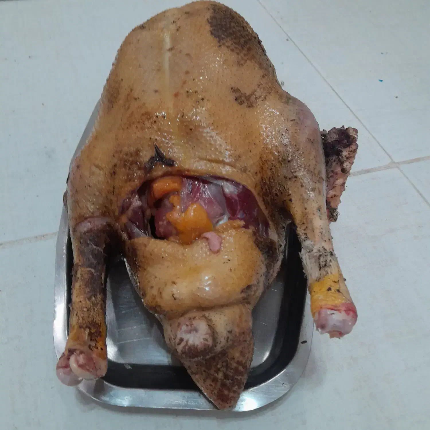 غاز اردک مرغ خروس|حیوانات مزرعه|رشت, جانبازان|دیوار