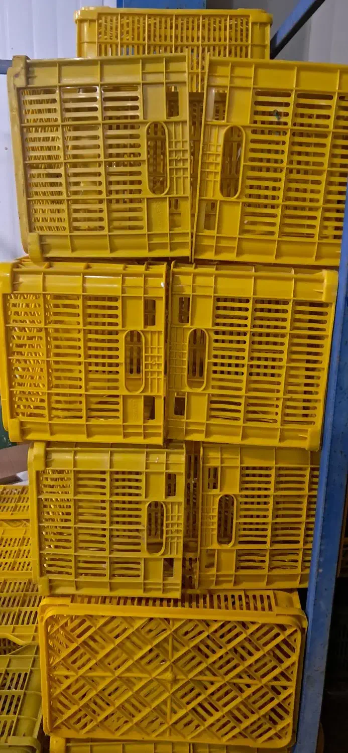 سبد مادر|ظروف نگهدارنده، پلاستیکی، یک‌بارمصرف|محمدشهر, زیبادشت|دیوار