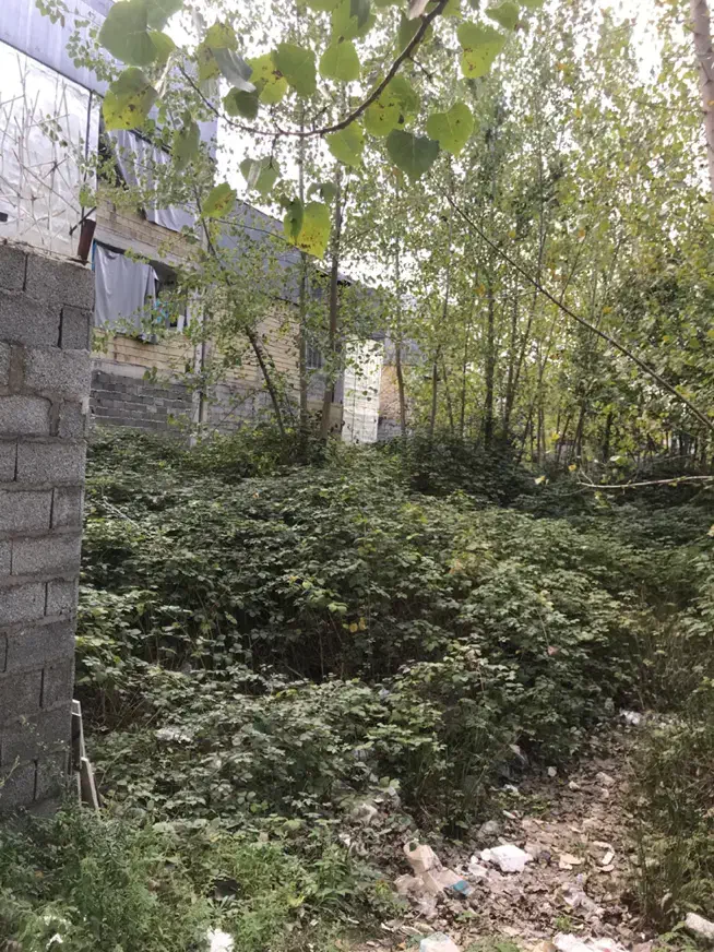 فروش فوری زمین|فروش زمین و ملک کلنگی|رشت, استقامت ۲|دیوار