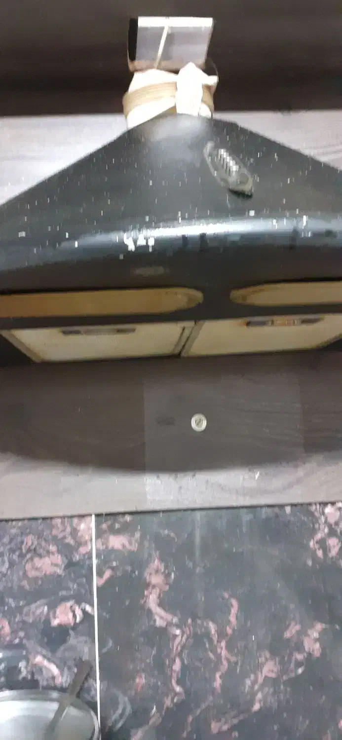 هود|هود|مشهد, مقدم|دیوار