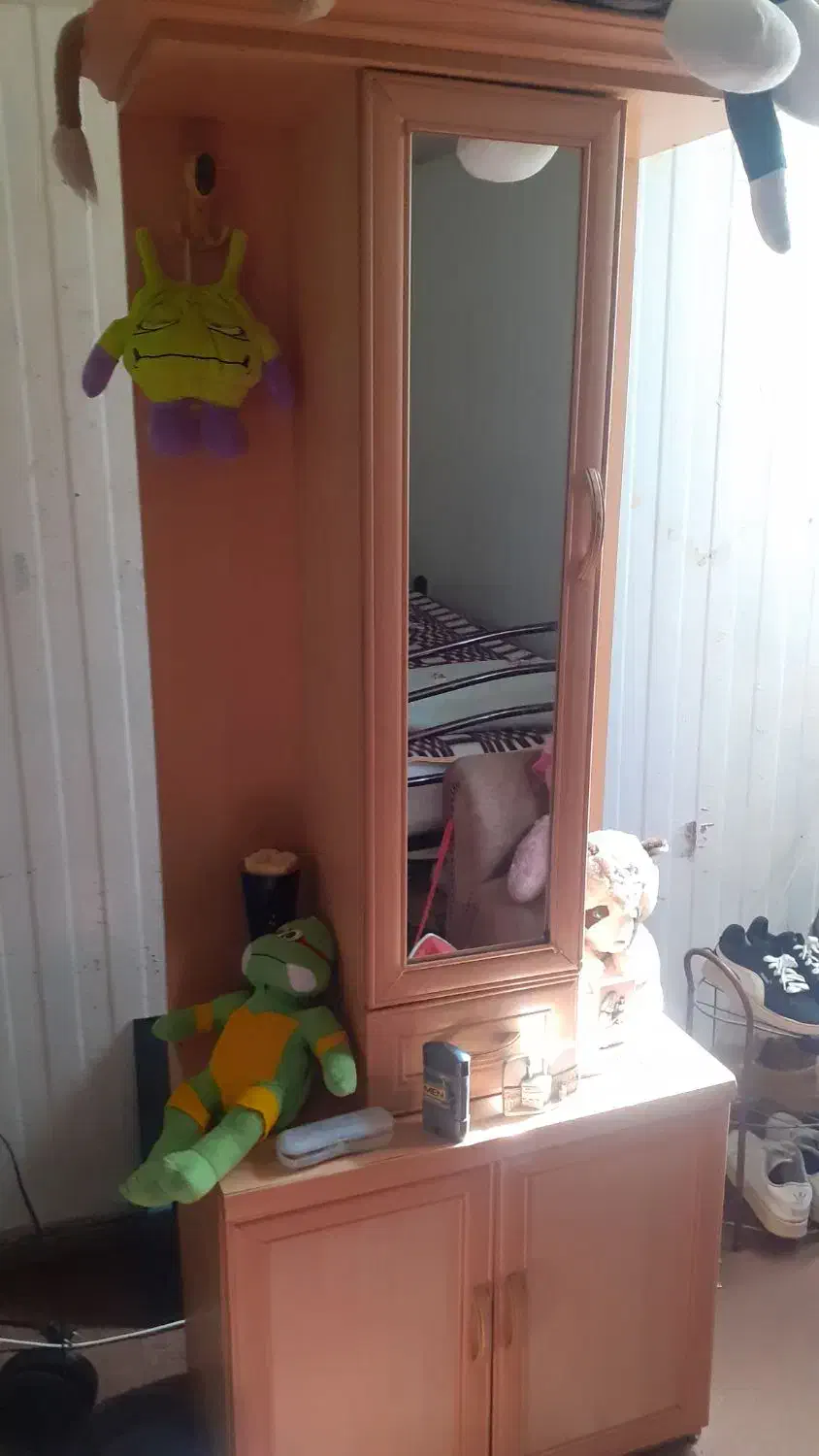 کمد بزرگ جا کفشی|جاکفشی، کمد، دراور|بم, |دیوار