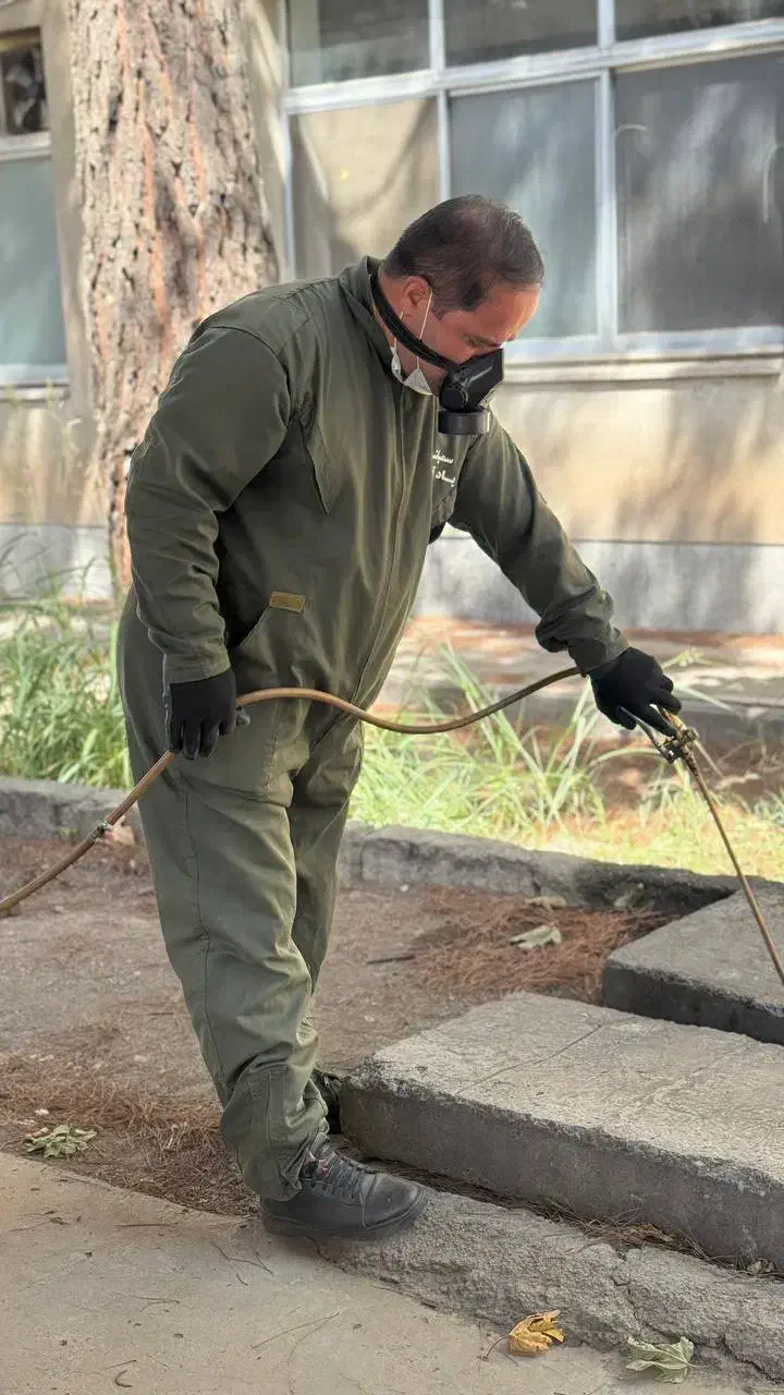 سمپاشی  سوسک .سوسک ریز.موش. بید. کنه|خدمات نظافت|تهران, آبشار تهران (دریاچه)|دیوار