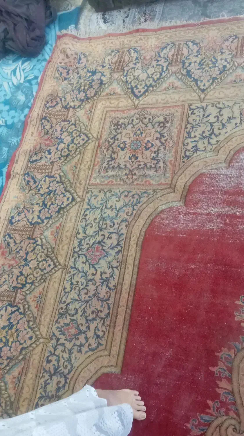 قالی کرمانی و|فرش|کرمان, |دیوار