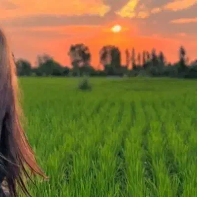 یاسوج|قطعات یدکی و لوازم جانبی|یاسوج, |دیوار