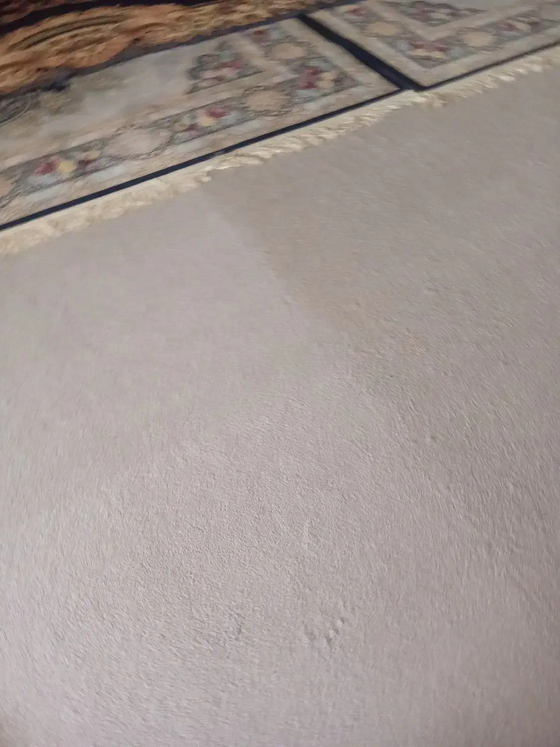 پالاز موکت|موکت|اندیمشک, |دیوار