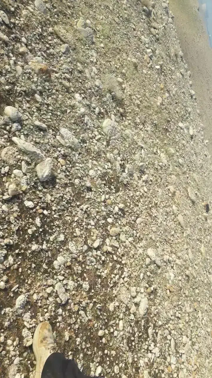 معدن مخلوط کوهی|فروش دفتر صنعتی، کشاورزی، تجاری|رامشیر, |دیوار