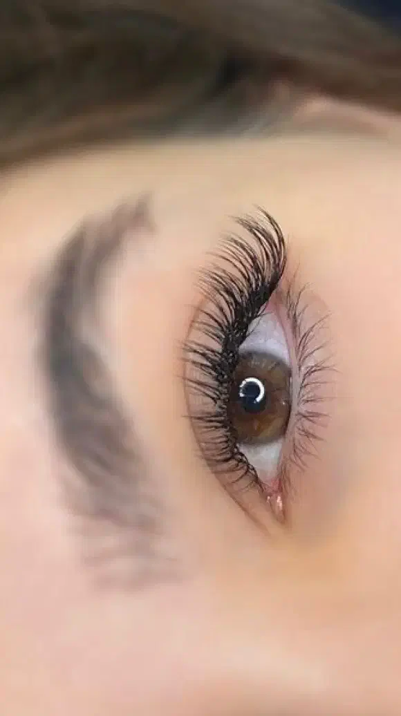 مدل اکستنشن،لیفت و لمینت مژه ابرو|خدمات آرایشگری و زیبایی|شیراز, ارم|دیوار