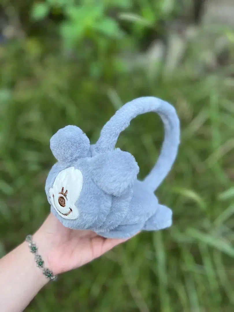 گوشگیر|لباس|رشت, دروازه لاکان|دیوار