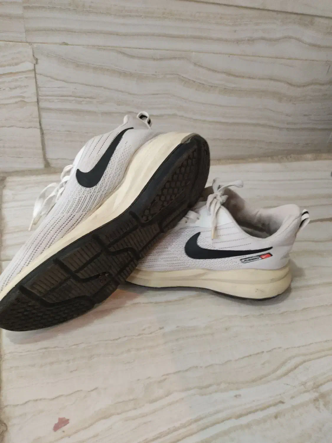 کفش|کیف، کفش، کمربند|مرند, |دیوار