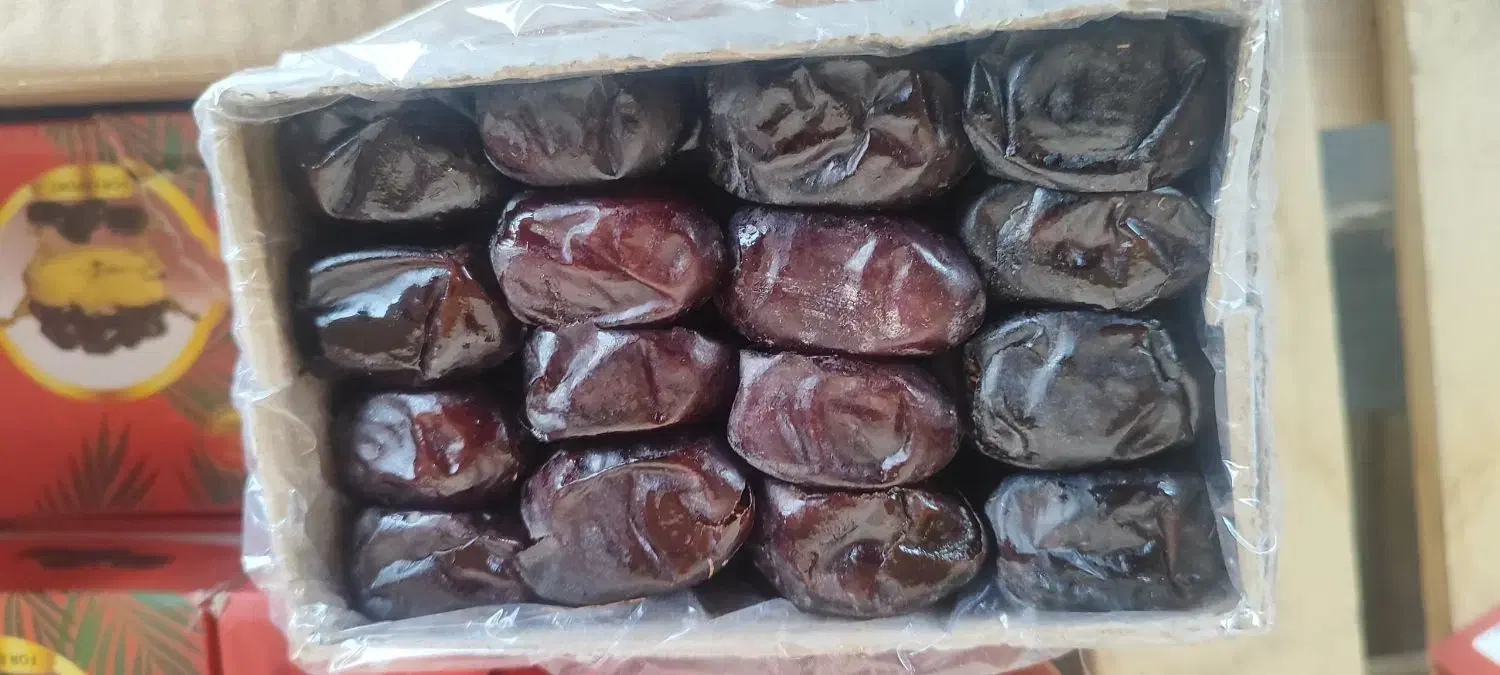 مضافتی|خوردنی و آشامیدنی|تهران, امام حسین|دیوار