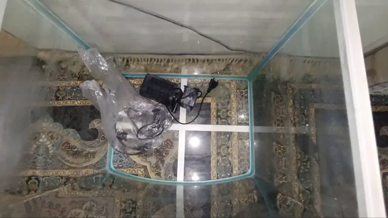 آکواریوم شرکتی|ماهی|مرودشت, فاز دوم شهرک فرهنگیان|دیوار