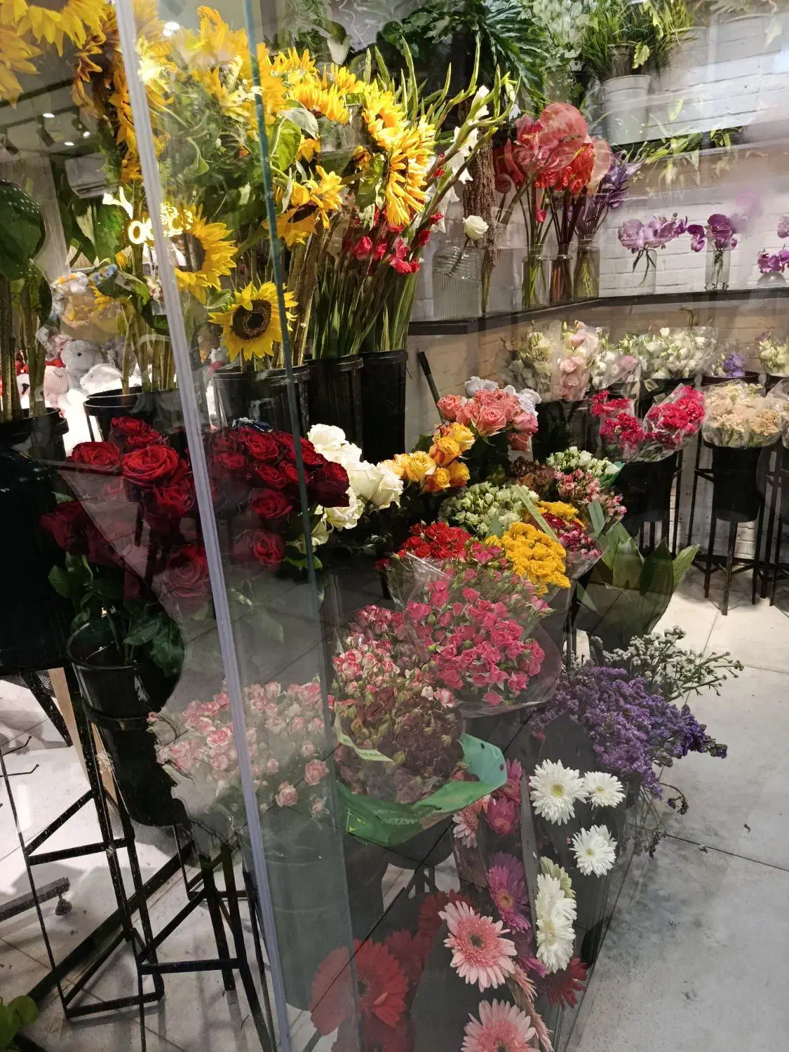 استخدام نیرو در محیط حرفه ای دیزاین و گل آرایی|استخدام خدمات فروشگاه و رستوران|بندرعباس, |دیوار