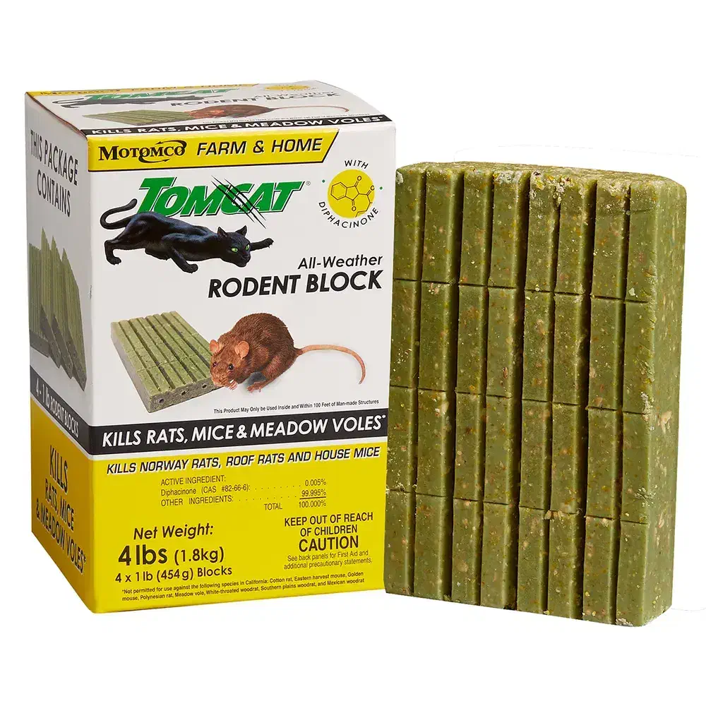 شرکت مبازره تخصصی با موش،(سمپاشی،سم پاشی)|خدمات نظافت|زاهدان, |دیوار