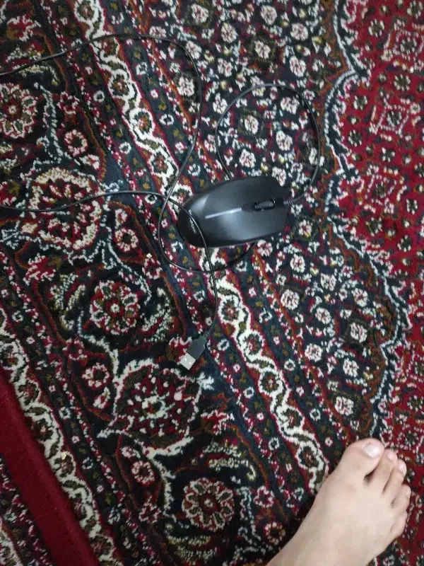 سیستم تمیز|قطعات و لوازم جانبی رایانه|سنندج, |دیوار