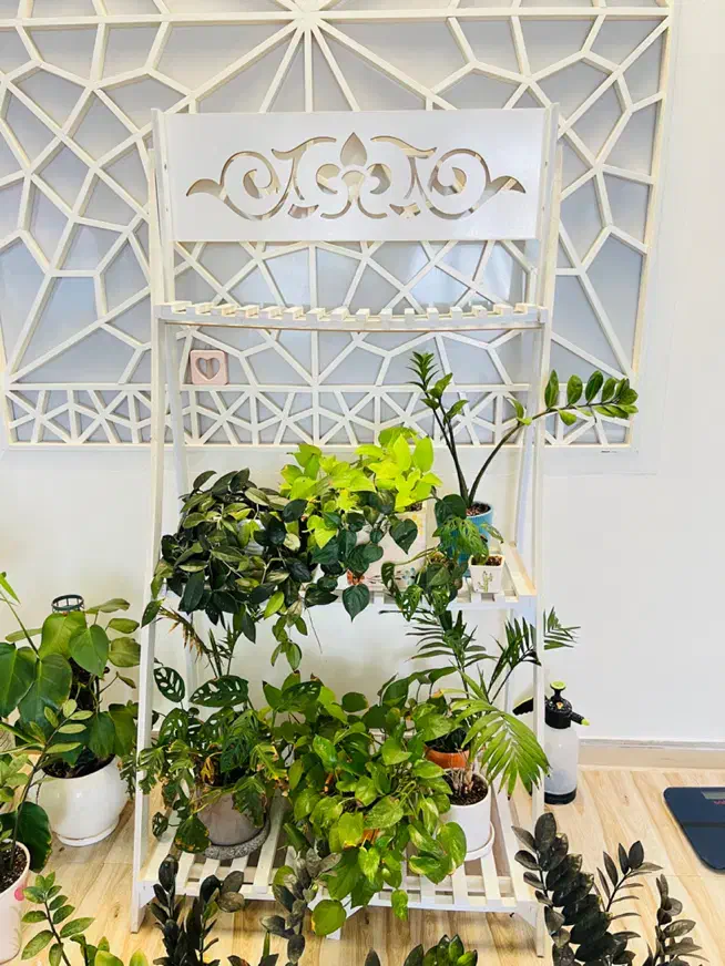 استند گل پی وی سی|کتابخانه، شلف، قفسه‌های دیواری|بیرجند, |دیوار