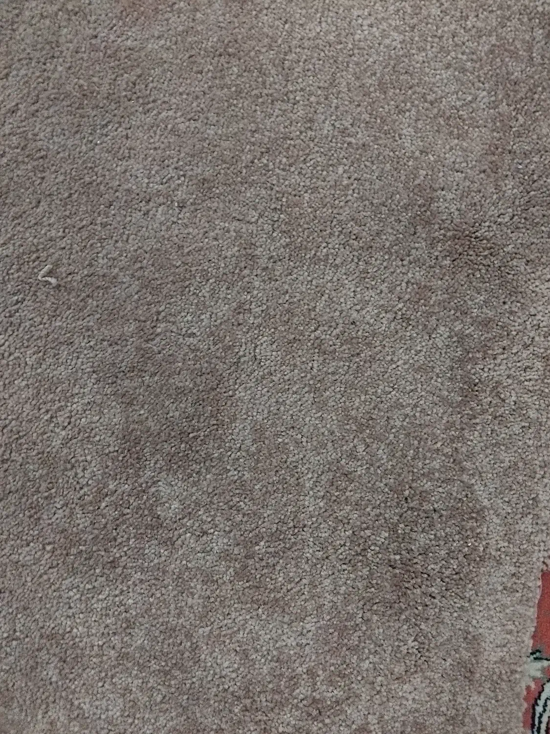 پالاز موکت|موکت|تهران, ستارخان|دیوار