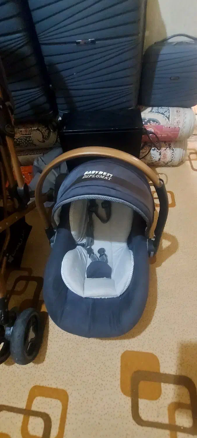 ست کالسکه|کالسکه و لوازم جانبی|شیراز, ده پیاله|دیوار