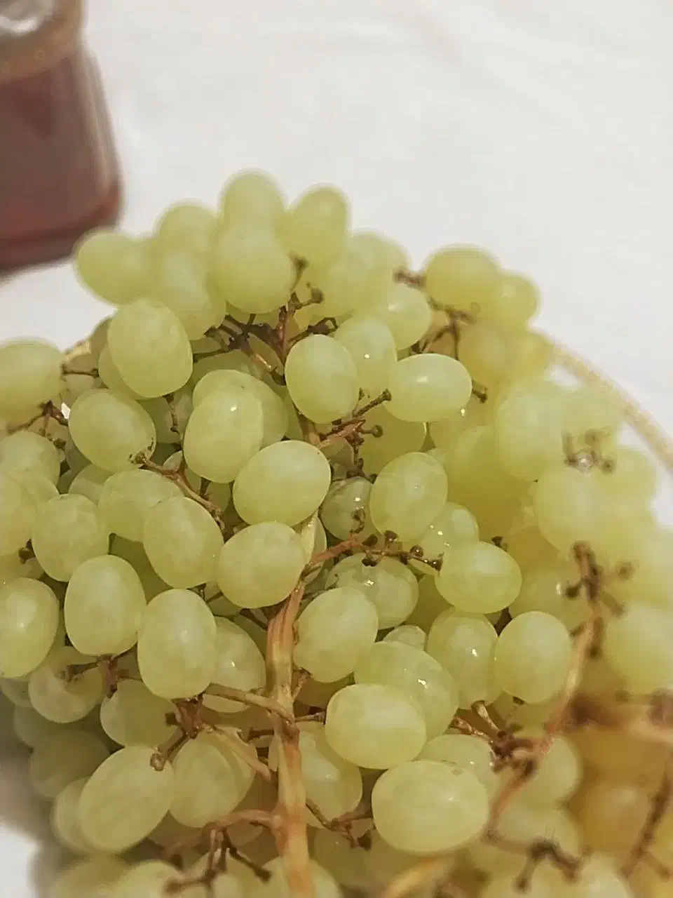 شیره انگور کشمشی گیفان طلای طبیعی سلامت|خوردنی و آشامیدنی|بجنورد, |دیوار