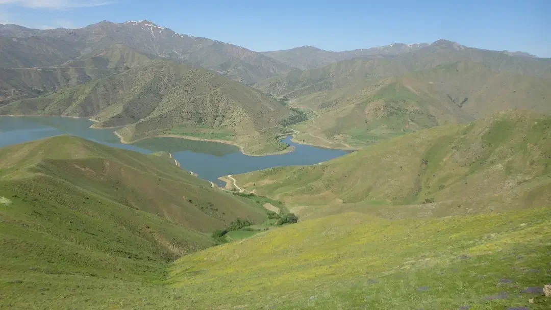 پیکان  اسینم  تمیس ۸۳|خودرو سواری و وانت|مریوان, |دیوار