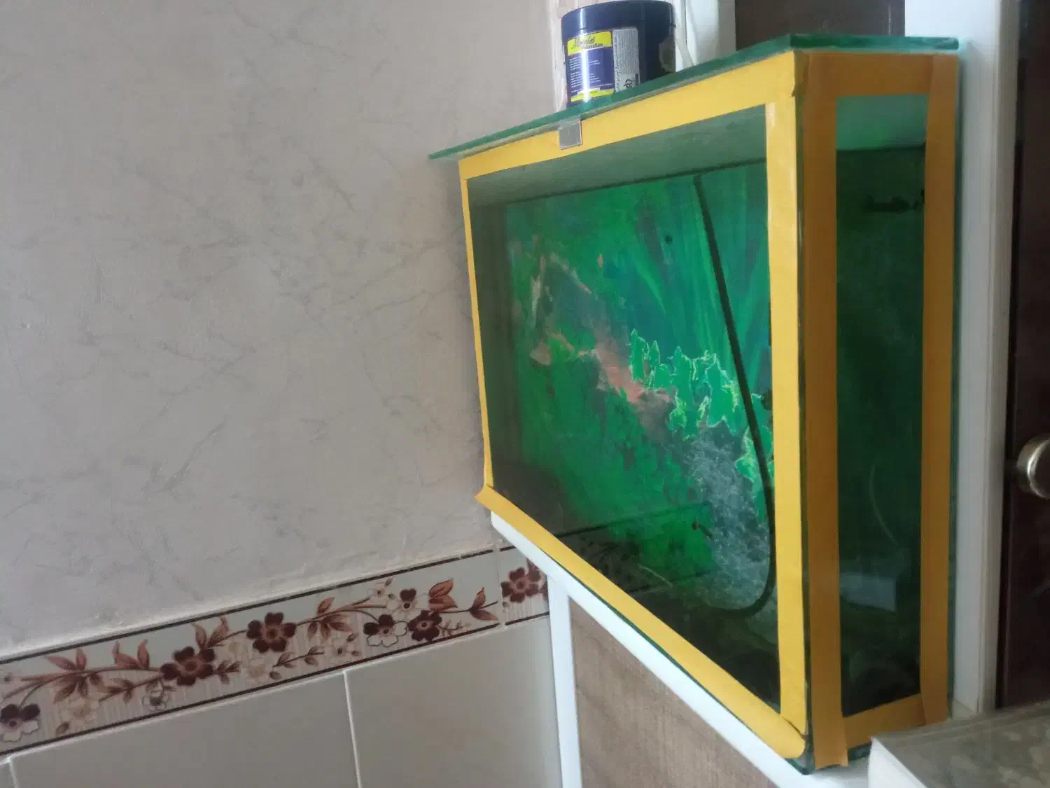 اکواریم|ماهی|همدان, |دیوار