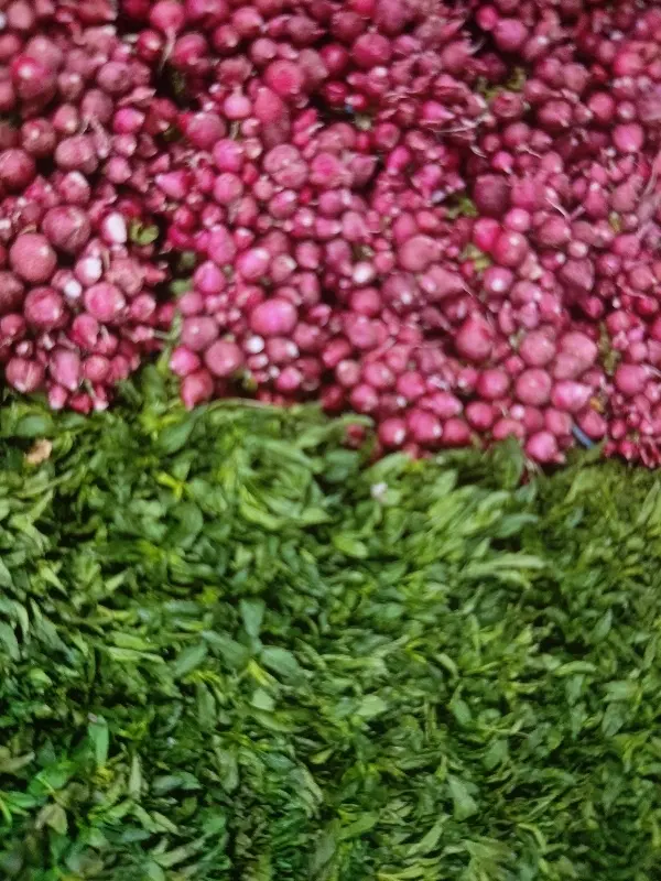 سبزی خوردن|خوردنی و آشامیدنی|تهران, شوش (باغ آذری)|دیوار
