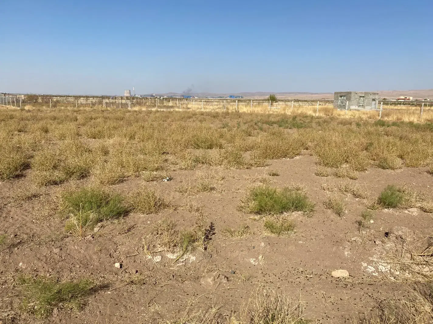 زمین کشاورزی|فروش زمین و ملک کلنگی|بناب, |دیوار