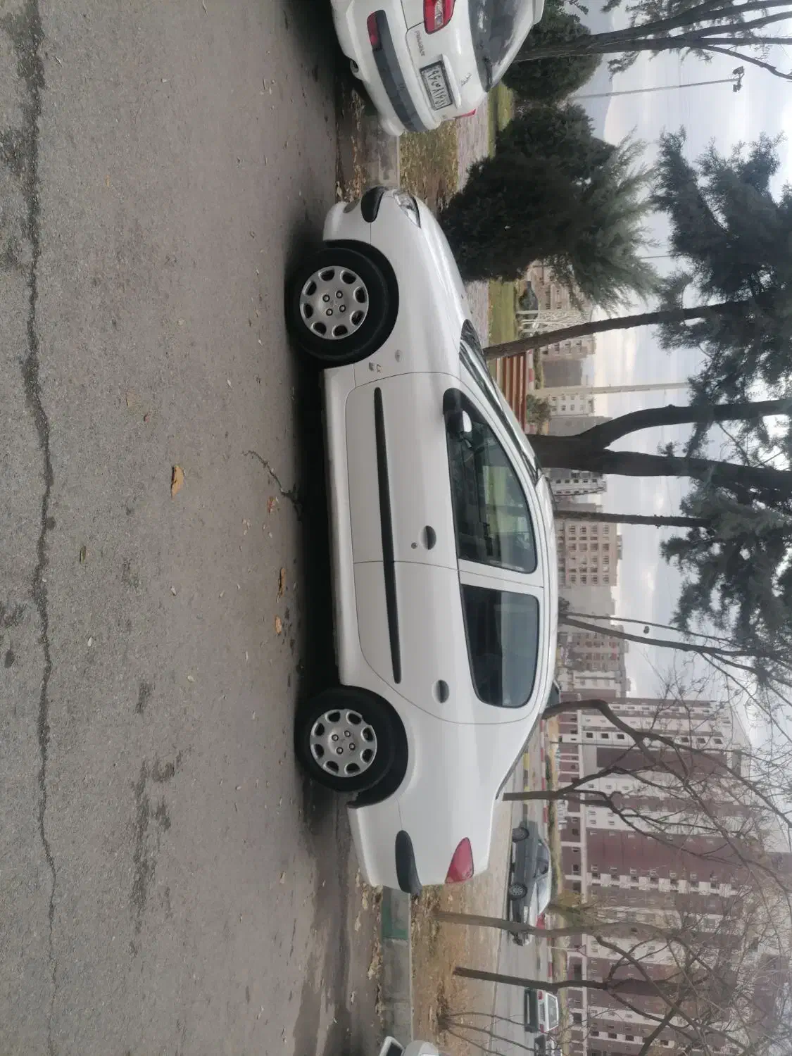 206 sd مدل 95|خودرو سواری و وانت|سنندج, |دیوار