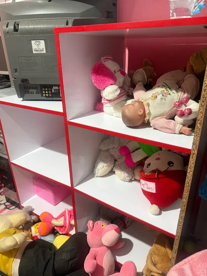 طبقه|کتابخانه، شلف، قفسه‌های دیواری|گرگان, |دیوار