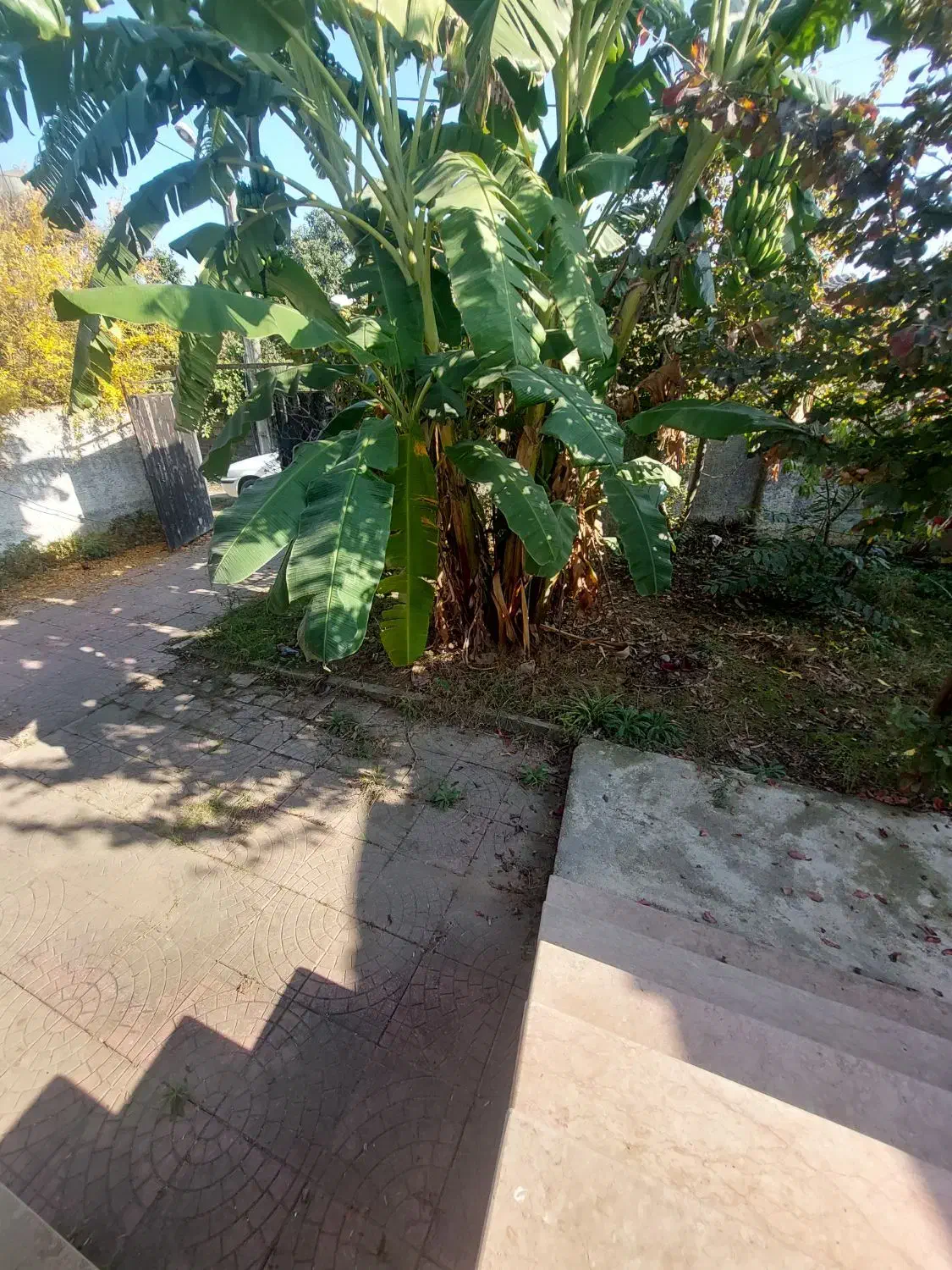 اجاره ویلا با ۱۷۰متربنا  /کد۴۳۰۳(سالار)|اجارهٔ خانه و ویلا|نوشهر, |دیوار