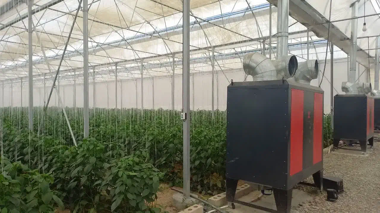 کارگر گلخانه تیران کرون|استخدام سرایداری و نظافت|نجف‌آباد, حومه نجف آباد|دیوار