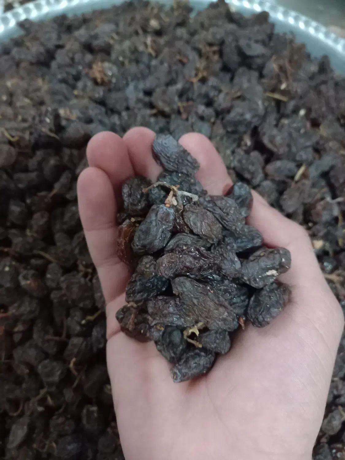 کشمش|خوردنی و آشامیدنی|بناب, |دیوار