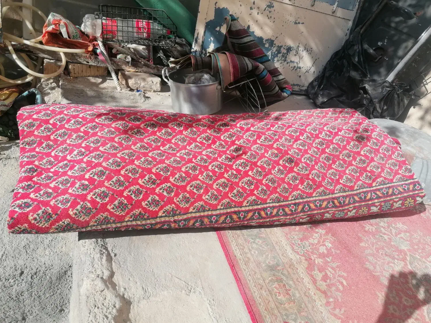 فرش|فرش|داراب, |دیوار