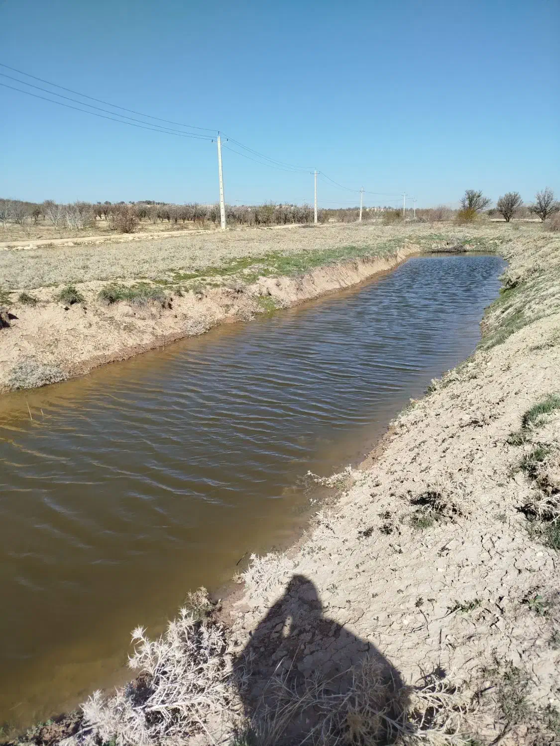 باغ|فروش دفتر صنعتی، کشاورزی، تجاری|شیراز, گلستان|دیوار