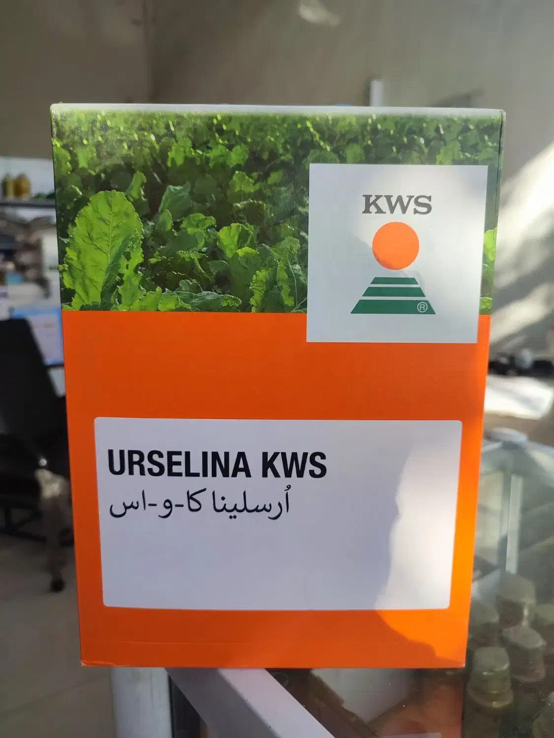 بذر چغندر بهاره|عمدهفروشی|بیستون, |دیوار