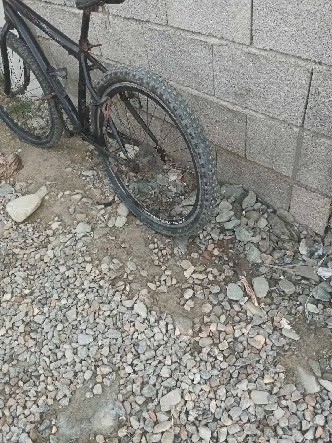 دوچرخه|دوچرخه، اسکیت، اسکوتر|گمیشان, |دیوار