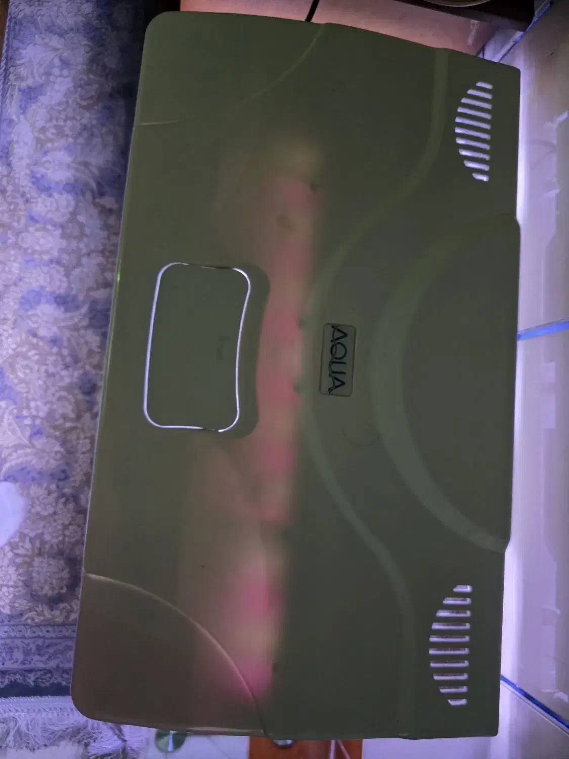 آکواریوم|ماهی|بندرعباس, |دیوار