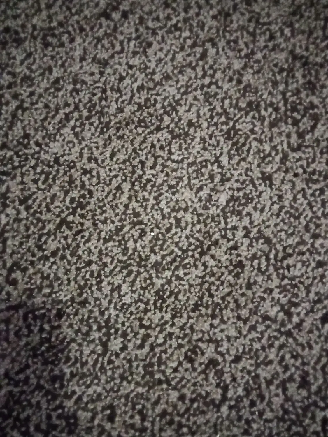 پالاز موکت|موکت|کیانشهر, |دیوار