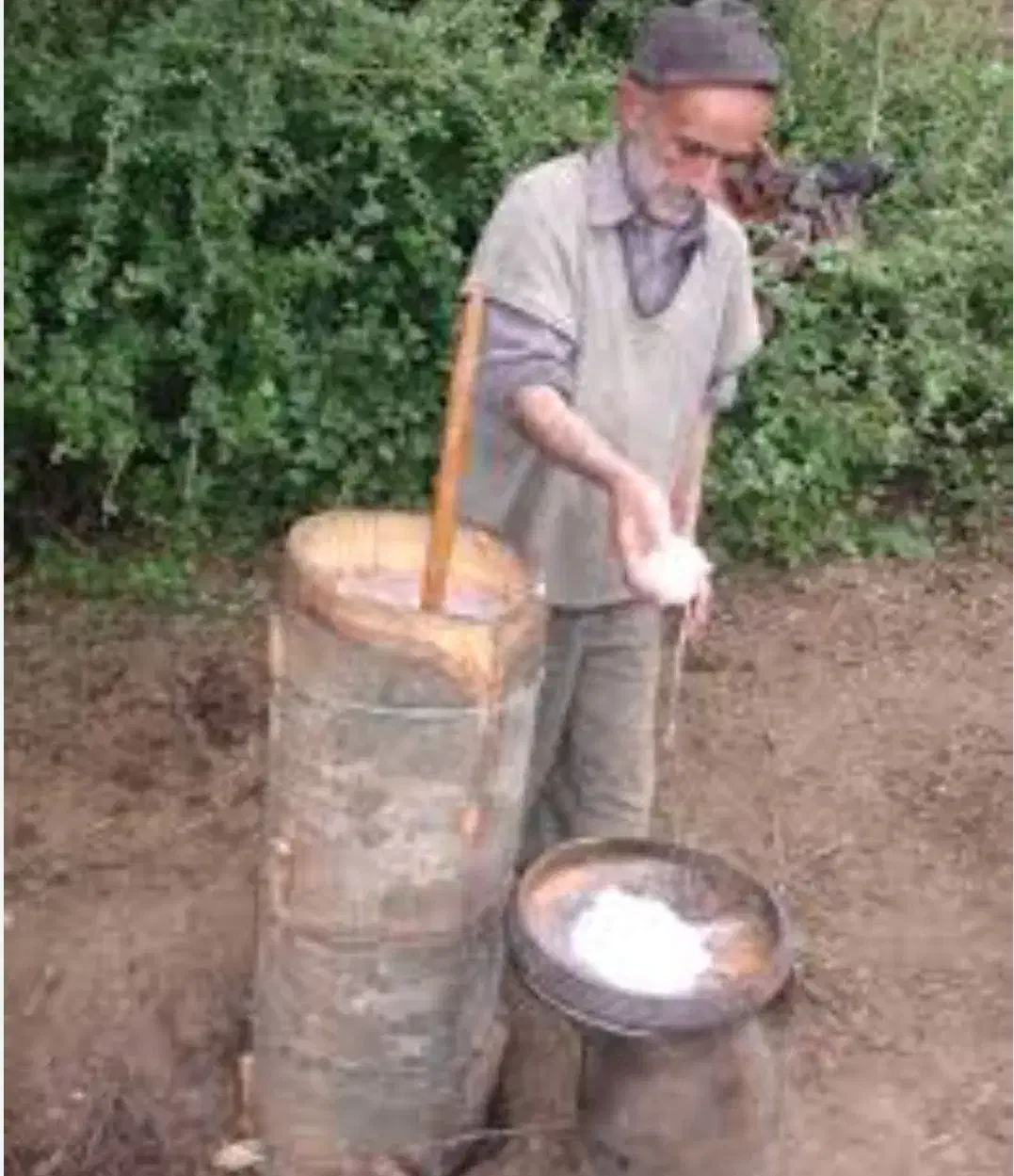 کره گاوی محلی|خوردنی و آشامیدنی|چالوس, |دیوار