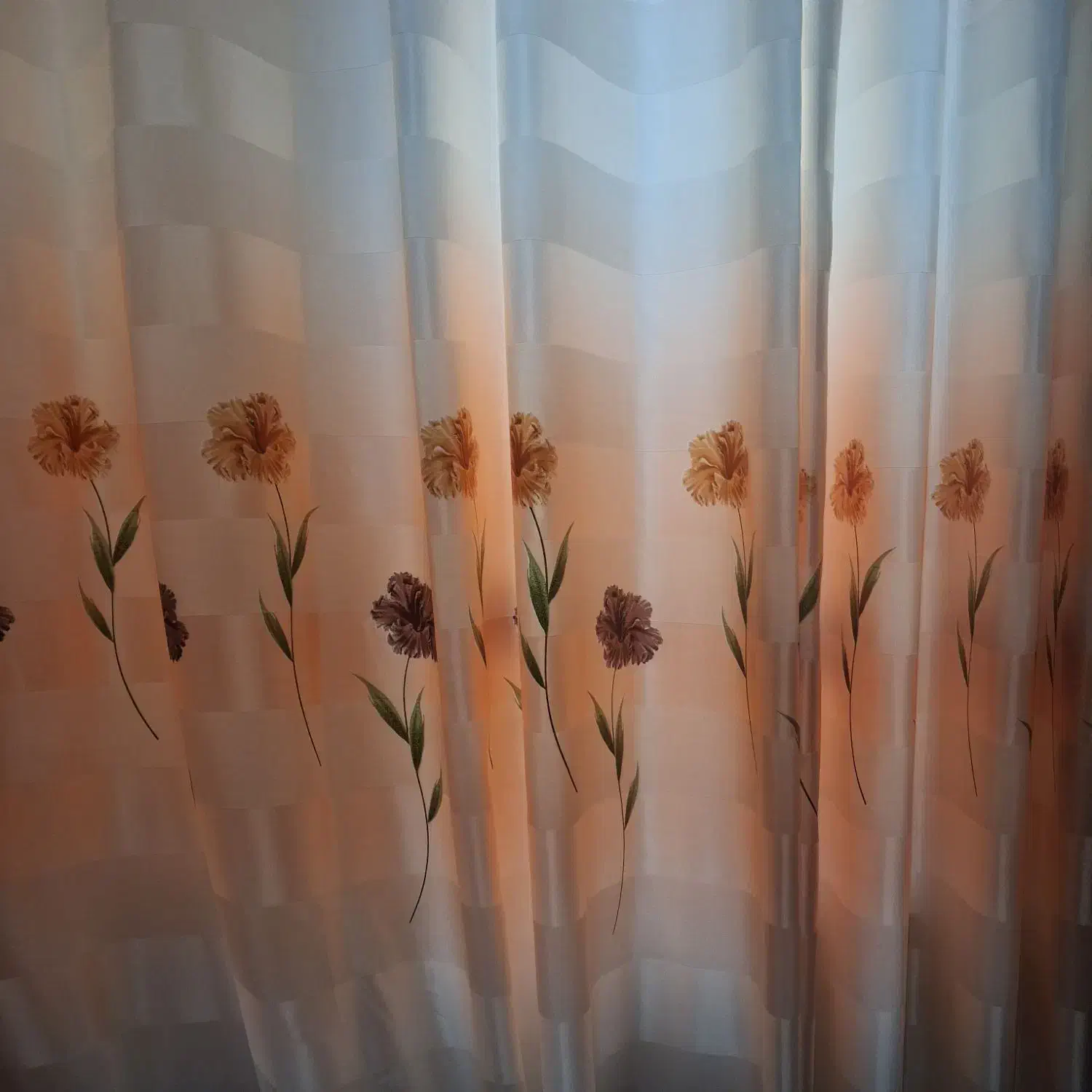 دوعدد ده  پانچ شده|پرده، رانر، رومیزی|رشت, جانبازان|دیوار