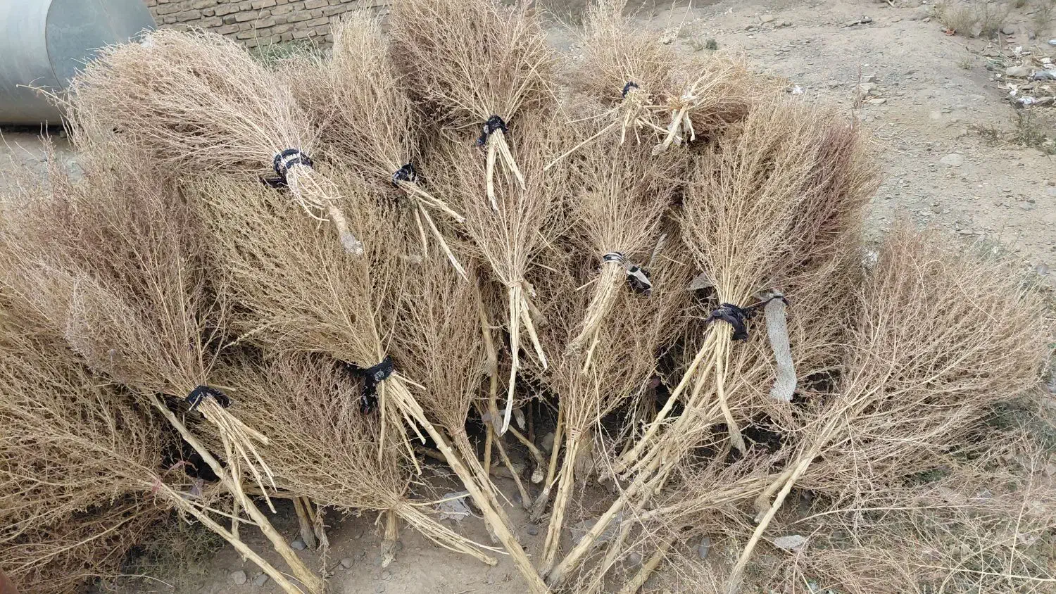 جارو محلی|لوازم نظافت|نیشابور, فضل|دیوار