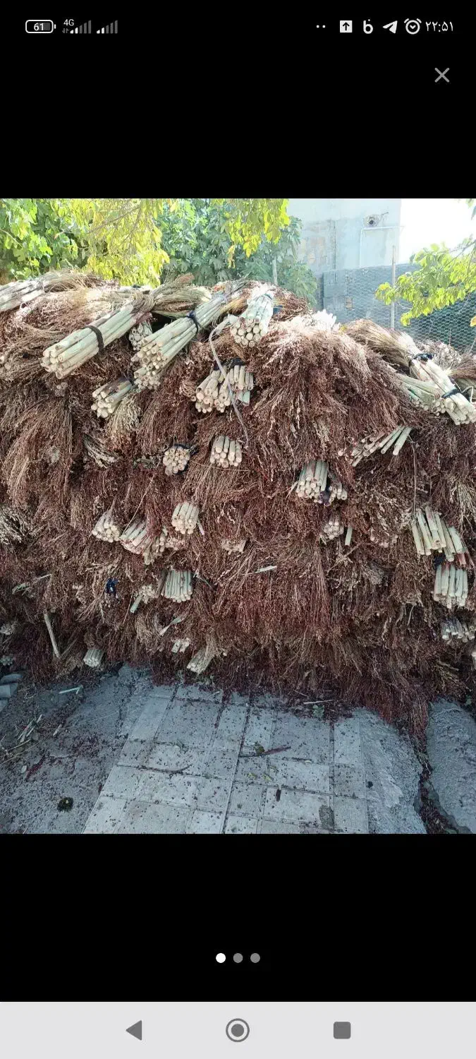 جارو محلی دستی (گزی گال)|عمده‌فروشی|روانسر, |دیوار